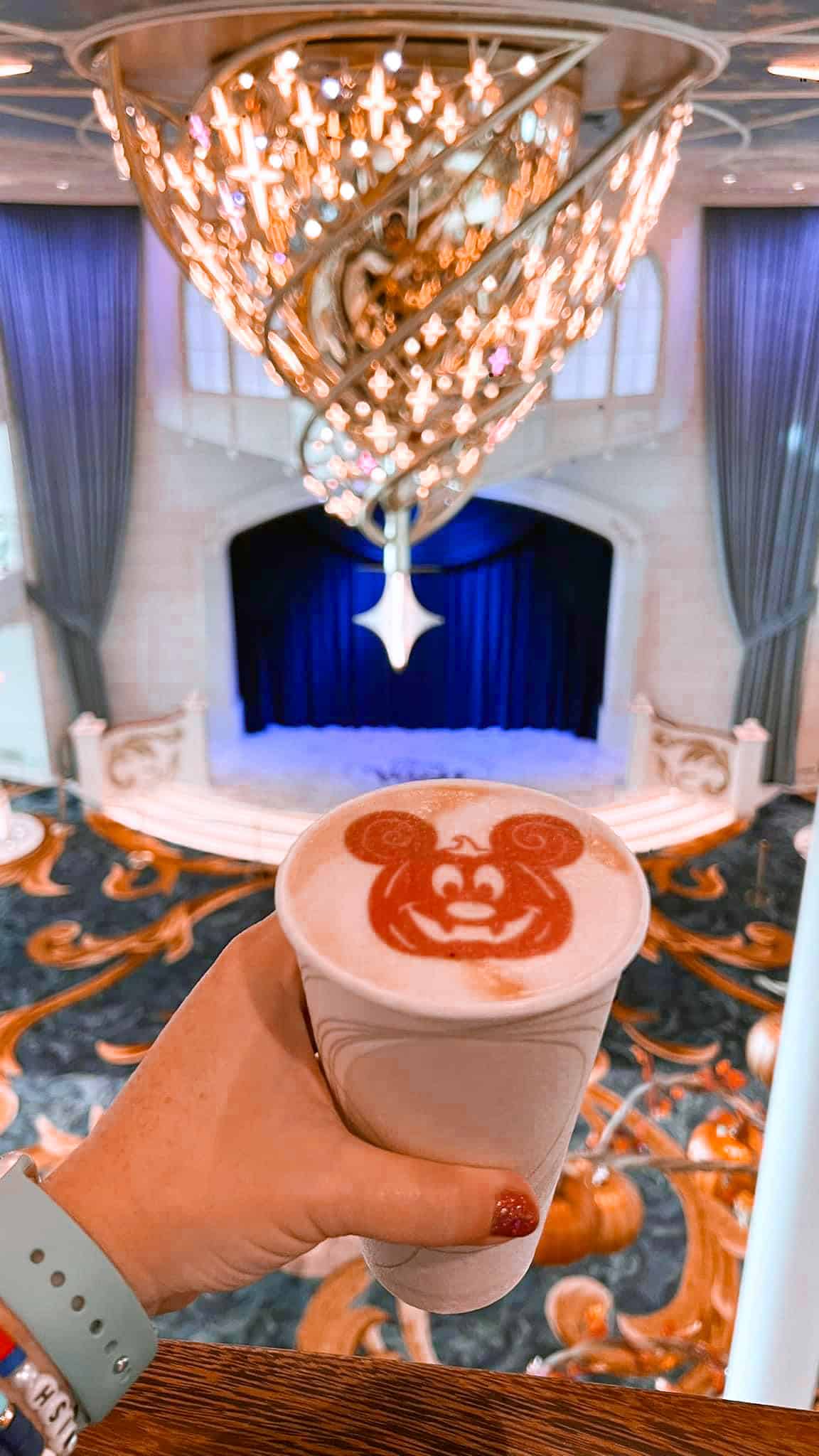 Disney Destiny Ocean View Stateroom: What to Expect (2026 Guide)